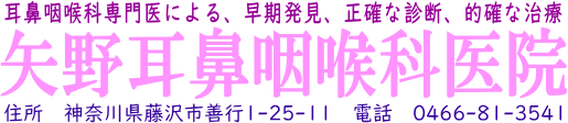 神奈川県 藤沢市 善行　矢野耳鼻咽喉科医院